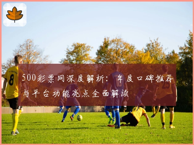 500彩票网深度解析：年度口碑推荐与平台功能亮点全面解读