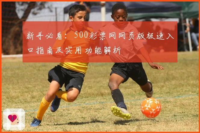 新手必看：500彩票网网页版极速入口指南及实用功能解析