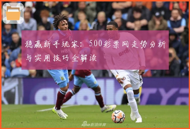 稳赢新手玩家：500彩票网走势分析与实用技巧全解读