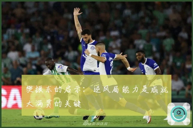 樊振东的启示：逆风局能力是成就大满贯的关键