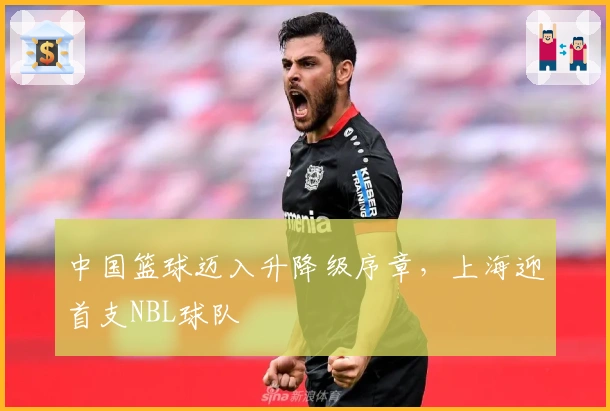 中国篮球迈入升降级序章，上海迎首支NBL球队